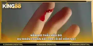 Nằm mơ thấy máu đỏ – Dự đoán chuẩn xác con lô đề hôm nay