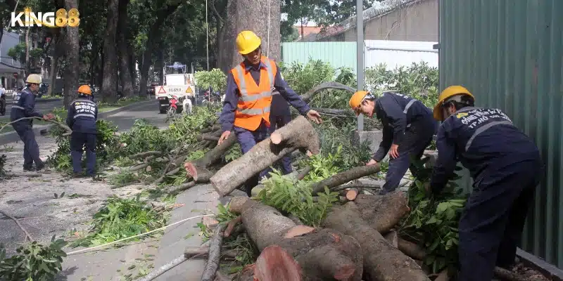 Mơ thấy chặt cây – Điềm báo và con số trúng lô 6 Luận giải chi tiết các tình huống thường gặp